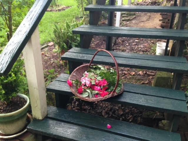 Magnolia Cottage Bed And Breakfast 纳奇兹 外观 照片